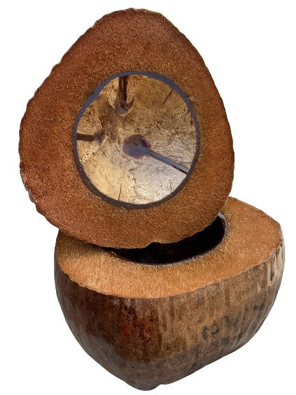 Sculpture artisanale d'une noix de coco